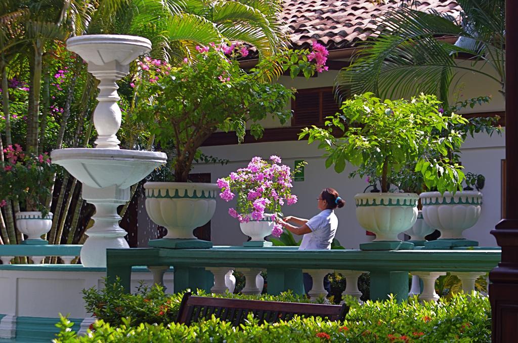 Hotel Dario Granada Dış mekan fotoğraf